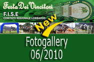 gallery_2010