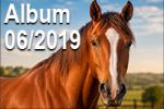 Foto Gallery 06-2019