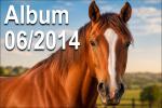Foto Gallery 06-2014