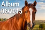 Foto Gallery 06-2015