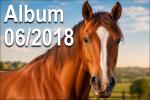 Foto Gallery 06-2018